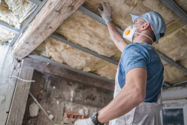 Best Insulation Maintenance and Repair in Rural Retreat, VA